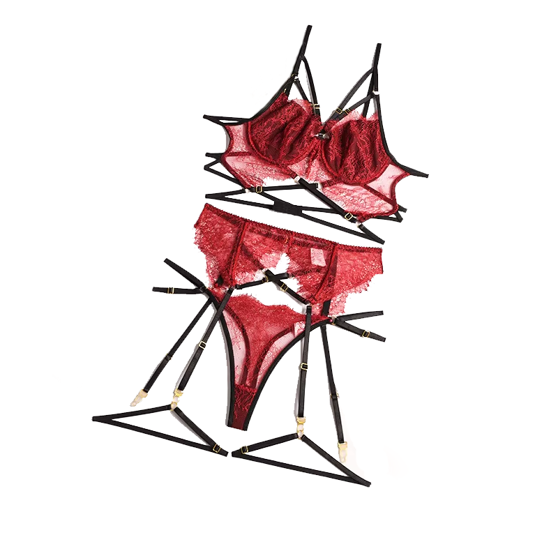 New Lace Sexy Lingerie Transpa - Lace Bralette Set review and price