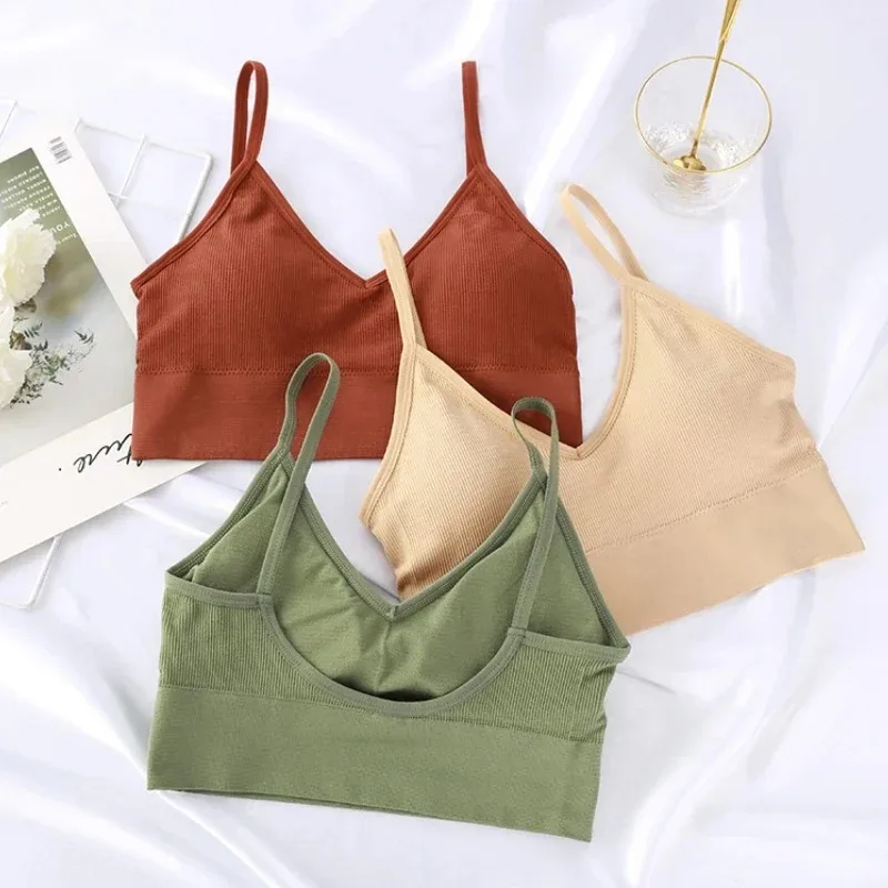 Seamless Women Push Up Bra Bea - Underwire Bra Padded review and price